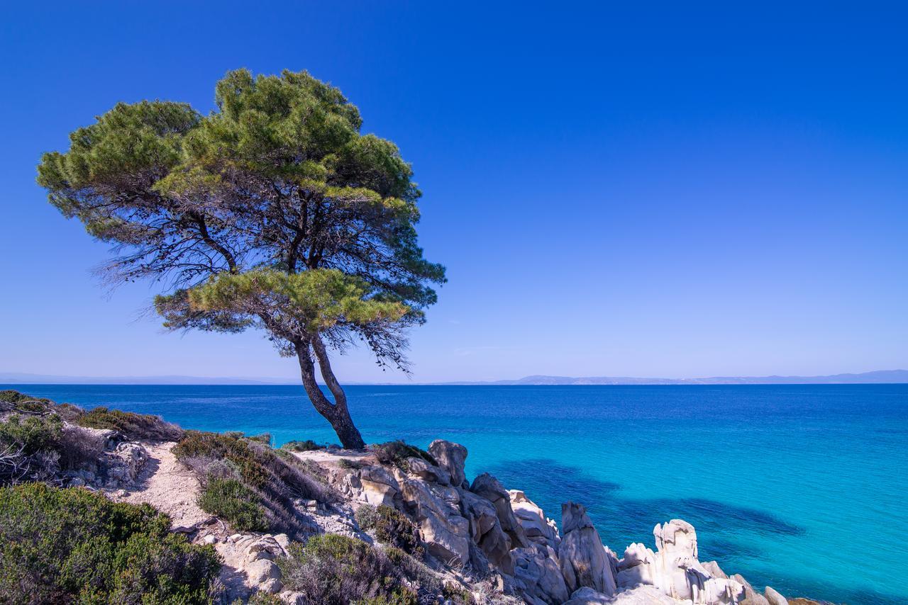 House Katerina Mediterranean Sarti Zewnętrze zdjęcie